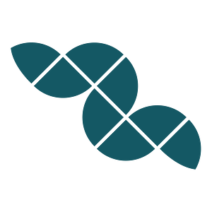 Deep Fission logo